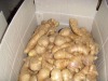 2011 crop air dried ginger