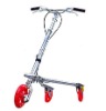 Easy folding Strong iron body SWING SCOOTER DS3007