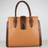 Ladies Handbag (211563)