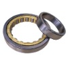 Cylindrical Roller Bearings (NU203,NU1005,NU1006,NU1007,NU1008,ETC)