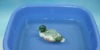 floating duck(p.u floating duck for garden decoration,waterfowl crafts),plastic floating crafts