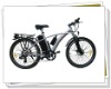 motorized bicycle