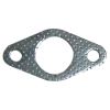 Exhaust Gasket