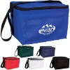 non woven Cooler Bag