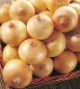 Chinese fresh onion