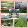 HDPE Sunshade net (best manufacture)