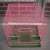 Cages For Pet Birds