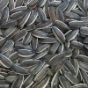 sunflower seeds