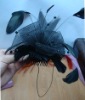 feather headband