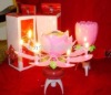 birthday candles/ candles wholesale