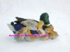 Polyresin duck--resin craft(Resin duck),duck sculpture,duck statue,duck crafts