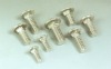 Carriage Bolts