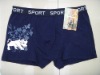 men's briefs