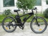 electric bicycle