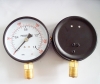 pressure gauge