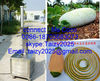 honeydew peeling machine / wax melon peeling machine / pumpkin peeling machine