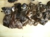 European Virgin Human Hair