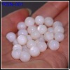 Chinese Freshwater Shell Pearl Nucleus/Pearl Nuclei