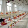 Automatic nipple drinking system pan feeding system poultry equipment for broiler