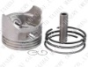 Piston(With Ring,Pin,Clip)