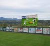 stadium LED cabinet