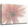 flower canvas painting