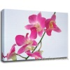 flower canvas painting