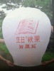 sky lantern  with CE certificate