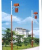 road  lighting  pole