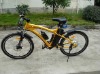 electric bicycle