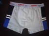 men's trunk