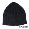 2009 new designs cap(GW82338)