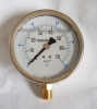 oil filled gauge