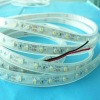 SMD5050 White flexible led strip light