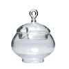 borosilicate glass sugar container