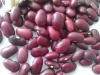 Dark Red Kidney Beans 2011 crop, Yunnan origin, Hps)