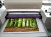 Glossy and Matt BOPP/PET+EVA Photo Laminating Film