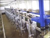 Stainless steel material Mid Placement type Milking Machine