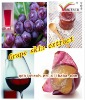 Red color for wine Grape Skin Extract Anthocynin