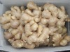 china dry ginger