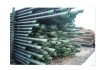 oil pipe  casing tubing