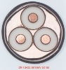 XLPE insulated medium voltage power cable