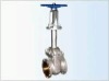 Bellowss Gate Valve