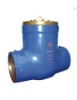 Pressure seal swing check valve