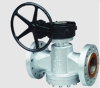 Plug Valve