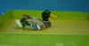 floating duck(p.u floating duck for garden decoration,waterfowl crafts),plastic floating crafts