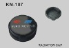 auto radiator cap