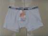 men's briefs