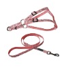 Pet leash