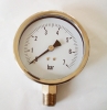 Stainless Steel Gauge